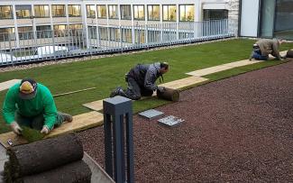 The play and sunbathing lawn was installed on the levelled substrate as pre-cultivated rolls of turf. © GRÜN+DACH / ZinCo Pre-cultivated rolls of turf are installed on a green roof